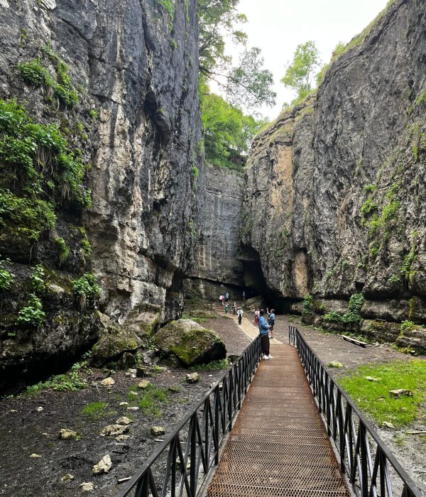 WhatsApp Image 2025-01-31 at 17.06.49